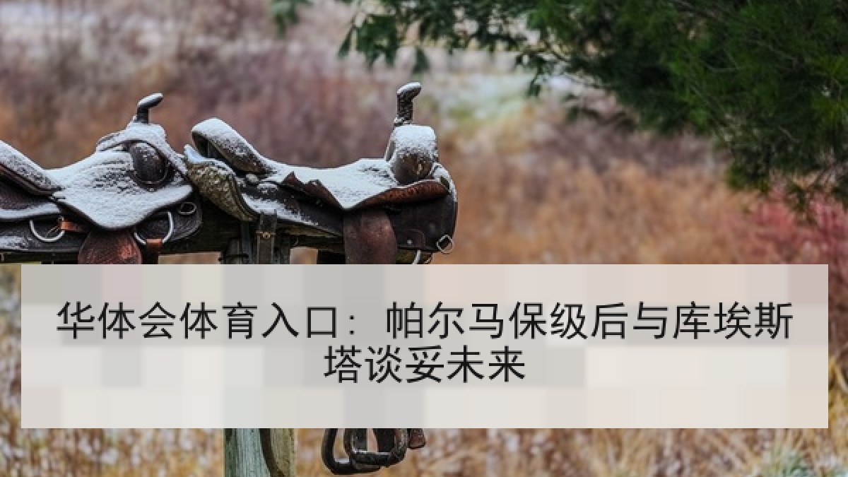 华体会体育入口: 帕尔马保级后与库埃斯塔谈妥未来 华体会体育入口: 帕尔马保级后与库埃斯塔谈妥未来