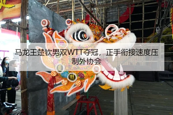 ma-long-wang-chu-qin-nan-shuang-duo-guan-zheng-shou-xian-jie-su-du-ya-zhi-wai-xie-hui-2-317.jpg