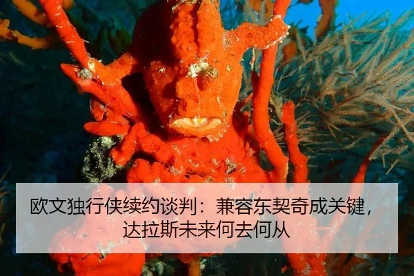 ou-wen-du-xing-xia-xu-yue-tan-pan-jian-rong-dong-qi-qi-cheng-guan-jian-da-la-si-wei-lai-he-qu-he-cong-2-676.jpg