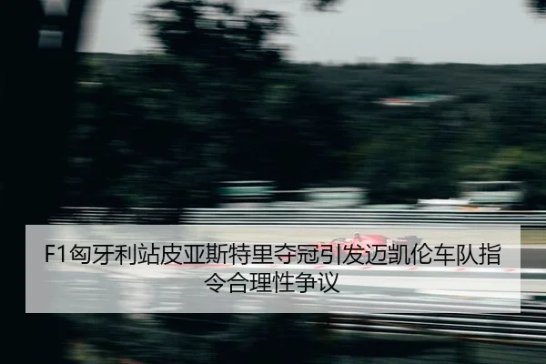 xiong-ya-li-zhan-pi-ya-si-te-li-duo-guan-yin-fa-mai-kai-lun-che-dui-zhi-ling-he-li-xing-zheng-yi-2-445.jpg