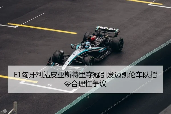 xiong-ya-li-zhan-pi-ya-si-te-li-duo-guan-yin-fa-mai-kai-lun-che-dui-zhi-ling-he-li-xing-zheng-yi-3-532.jpg